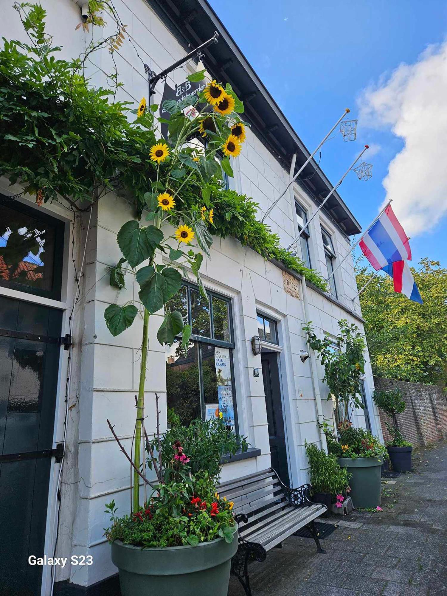 De Stadsboerderij Кампен Екстериор снимка