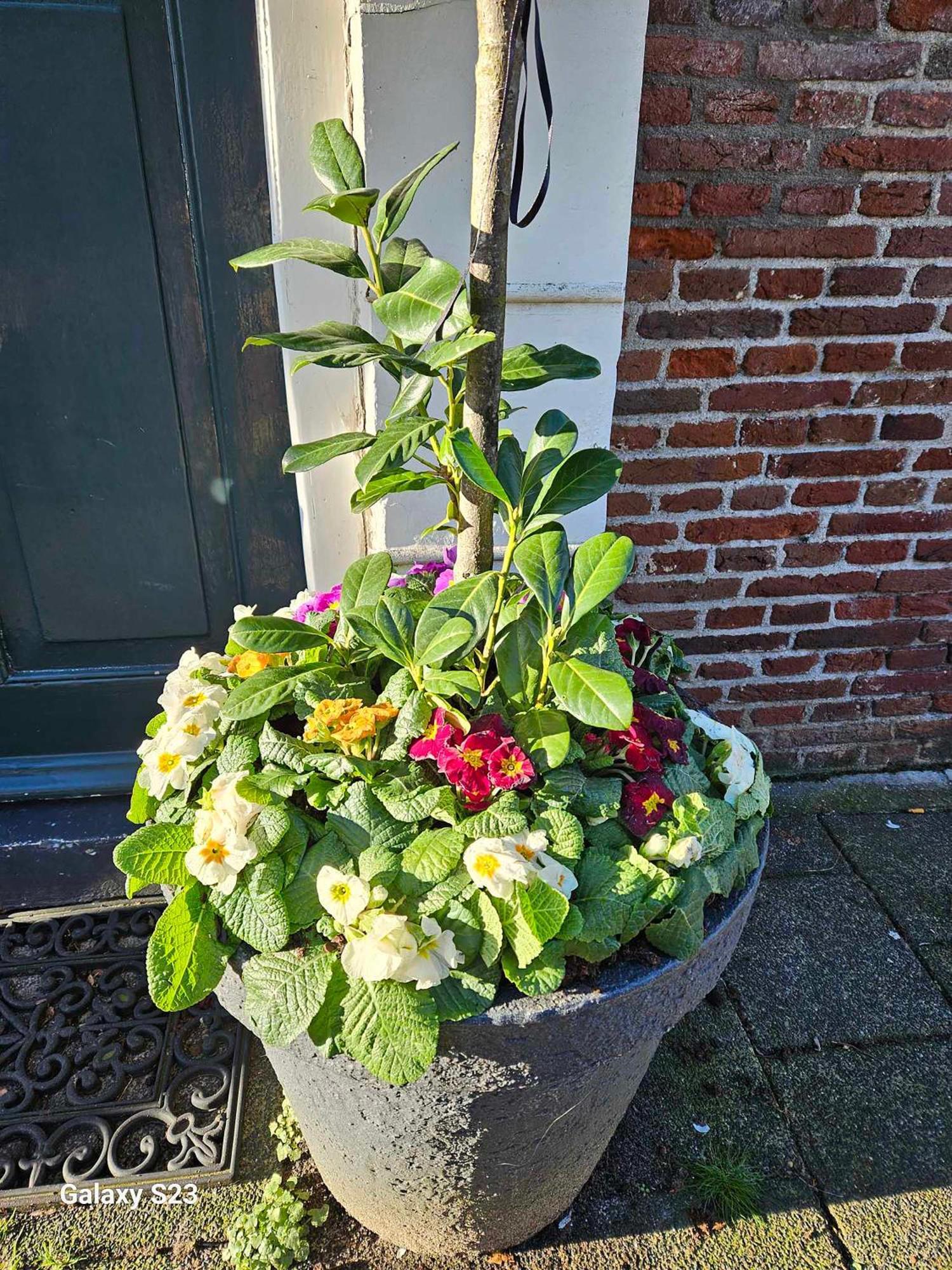 De Stadsboerderij Кампен Екстериор снимка